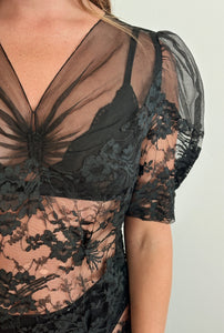 1930s Sheer Silk Organza Lace Dress